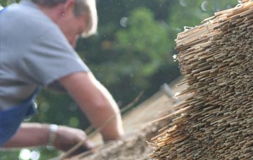 professional Achavandra Muir thatchers