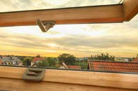 rated Achavandra Muir roof window companies